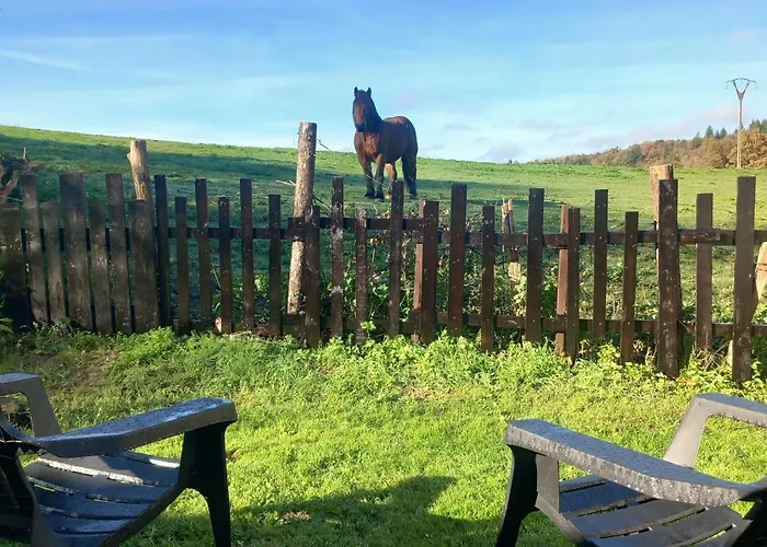 Solapetxea Loft Rural Apartment Elosu